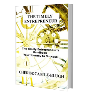 Cover of The Timely Entrepreneur